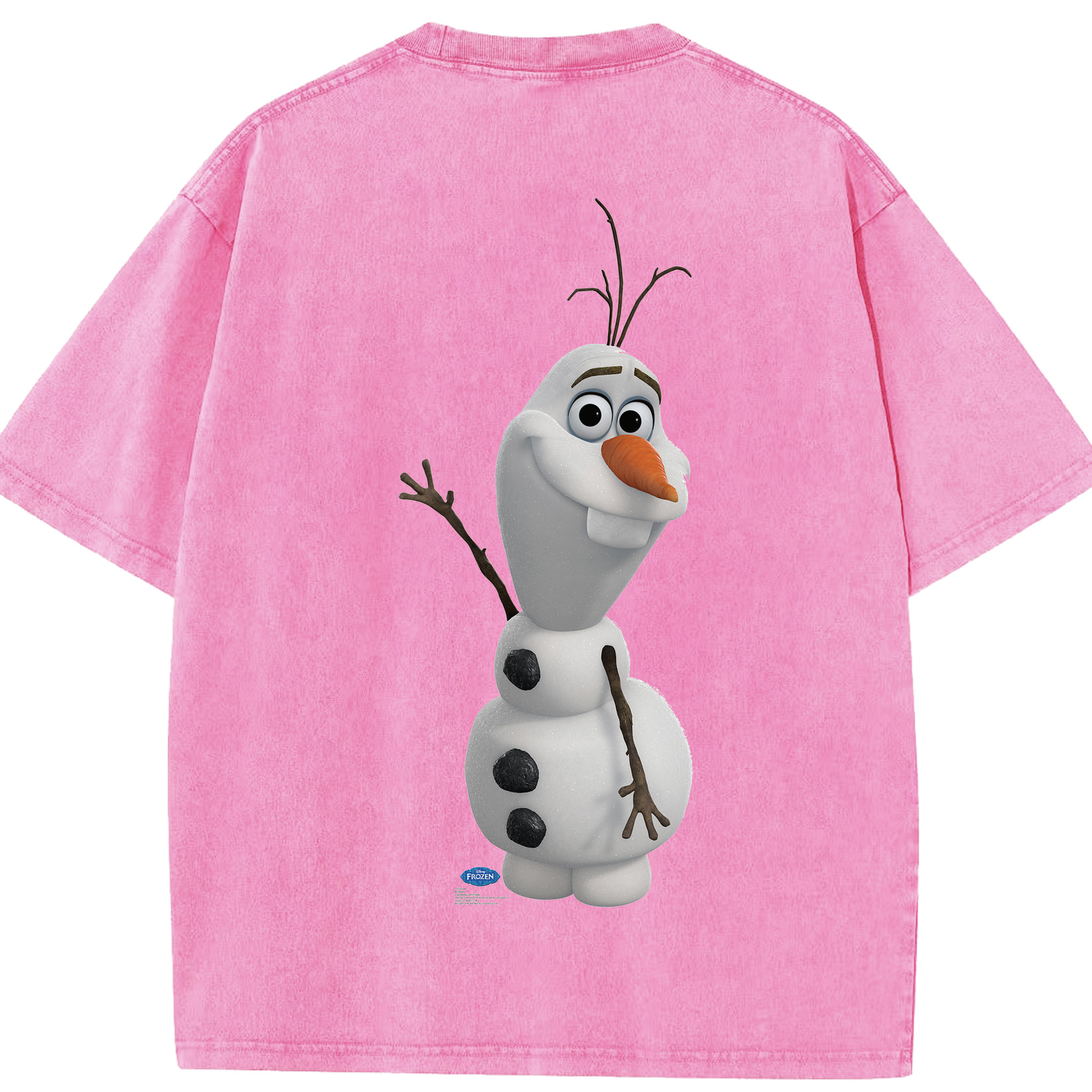 （画像用） アナと雪の女王 アンナ エルサ Frozen Anna Elsa 綿100% ヴィンテージ風 半袖Tシャツ（背面プリント）